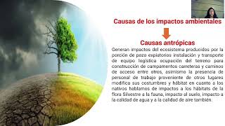 Avance de Portafolio 2 Impacto ambiental en lo bosques aluviales inundables AP2 [upl. by Hartley]