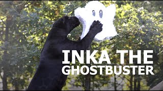 Inka the GHOSTBUSTER [upl. by Odnomar]