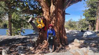 Dardanelles Lake CA Oct 14 2023 [upl. by Edyaj]