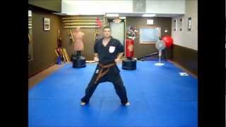 5 Kata  Shaolin Kempo Form [upl. by Vories210]