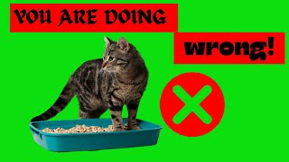 Never make THESE 12 MISTAKES with YOUR CATS LITTER BOX [upl. by Nabalas]