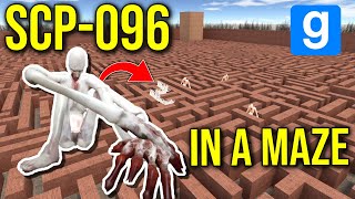 SURVIVING SCP096 IN MAZE gmod nextbot [upl. by Jempty990]