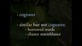 Historical Linguistics Cognates Borrowed Words amp Chance Resemblance 2 [upl. by Terris329]