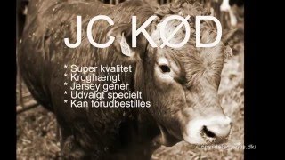 JC KØD [upl. by Ecitnerp]