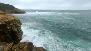 Putty Beach Trackhead Bouddi National Park xxx 4K [upl. by Aivatnahs]