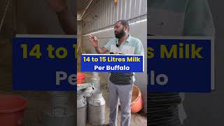 एक महीने की कमाई 2200000 रु😱💰करोड़ों कमाने वाला Dairy farm💯🔥 indianfarmer shorts [upl. by Yeldarb]