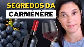 Carménère todos os segredos dessa uva e dos seus vinhos [upl. by Stormie955]