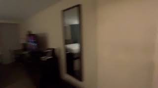 Sonesta Atlanta GA Airport North Hotel Room Tour 423 Shorts [upl. by Eiramanad67]