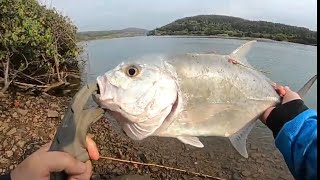 Umkomaas River Tagged Kingfish [upl. by Kentigera]