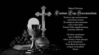 Miguel Robaina  Tantum ergo sacramentum 2023 [upl. by Inatsed669]