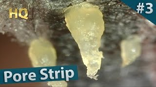 3 Pore Strip Close up  Blackheads Removal [upl. by Lennard]