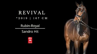 Revival 2019 v RubinRoyal  Sandro Hit [upl. by Horacio]