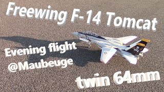 Freewing F14 twin 64mm flying Maubeuge France [upl. by Ergener]