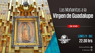 Mañanitas a la Virgen de Guadalupe  EN VIVO [upl. by Siraj]