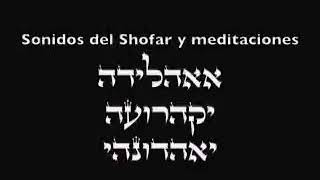 101 toques de shofar Rosh Hashana con meditacion Albert Gozlan [upl. by Eelnayr674]