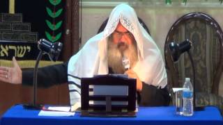 Sabiduria de Elohim parte 1 por el Roeh Dr Javier Palacios Celorio  Kehila Gozo y Paz [upl. by Crispen]