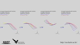 Flappingwing aeroelastic analysis considering wing flexibility [upl. by Decamp]