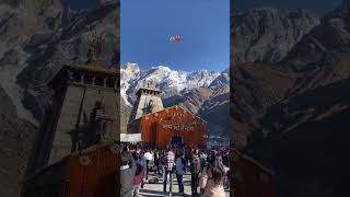 Mahadev status video 🛕 any plans for 2025  kedarnath shorts bholenath viralshorts moviesongs [upl. by Nachison681]