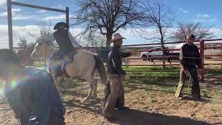 HIP 9  KB LOTA GJ  2013 Palomino Gelding  Consigned by Matador Ranch [upl. by Gottuard454]