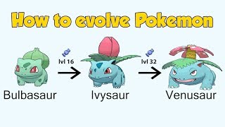 How To Evolve Pokémon  Generation 1 Kanto Animated Sprites [upl. by Soigroeg942]