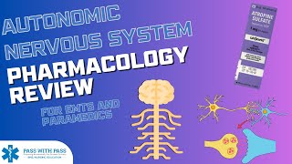 Autonomic Nervous System ANS Pharmacology  NREMT amp NCLEX Exam Prep [upl. by Yate]