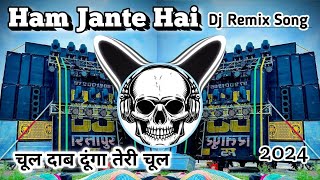 Ham Jante Hai DJ remix Song With Dialogue Remix [upl. by Coral370]