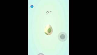 Pokemon Go  Hatching 9 of the 10km Eggs at Once 2nd Time [upl. by Assiluy]