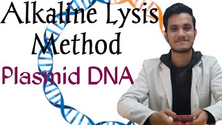 Alkaline Lysis Method  Plasmid  Principle biotechnology viral technique science knowledge me [upl. by Terrence]