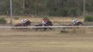 Narrabri 23 03 2024 Race 4 [upl. by Dnalyaw]