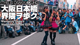 大阪日本橋界隈ヲ歩ク Nipponbashi Street Festa 2024 Cosplay Street Event Osaka Japan [upl. by Imuy]