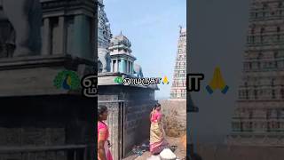 🙏ஓம் முருகா🦚திருத்தணி முருகன் கோவில்trending murugantemple tamil new shorts viralshort god [upl. by Eberhart]