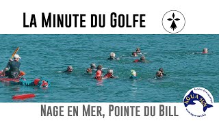 La Minute du Golfe  E17  Nage en mer Pointe du Bill [upl. by Eisiam810]