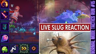 Dead Cells  Normal Mode Tactics Run no15 [upl. by Sahcnip]