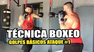 TÉCNICA BOXEO  GOLPES BÁSICOS TUTORIAL [upl. by Enyrb436]