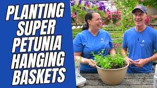 Planting SUPER PETUNIA Hanging Baskets [upl. by Macrae496]