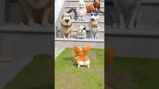 Animated dog 🐶 comdey shorts viralshorts viral dog [upl. by Walcoff]