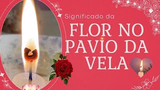 Pavio da Vela formou uma Flor [upl. by Mehitable]