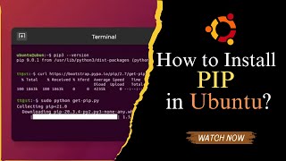 How to install PIP in Ubuntu [upl. by Law]