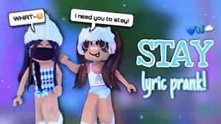 💙STAY  SONG LYRIC PRANK Roblox [upl. by Busiek]