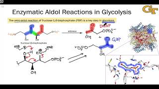 Aldolase Enzymes and the Nitroaldol Reaction [upl. by Munro]