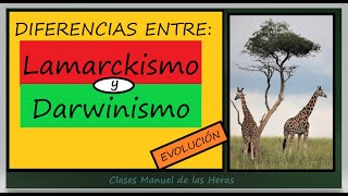 Diferencias entre LAMARCK y DARWIN Caracteres Adquiridos y Selección Natural Teorías Evolución [upl. by Attener]