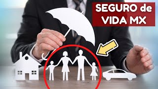 💊 5 MEJORES SEGUROS de VIDA en MÉXICO ✅ RANKING de COMPAÑIAS de SEGURO de VIDA ECONÓMICOS [upl. by Yenduhc]