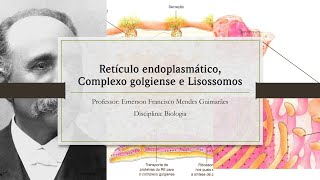 Retículo endoplasmático Complexo golgiense e Lisossomos [upl. by Negaem162]