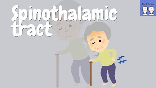 Spinothalamic tract simplified made easy [upl. by Bust]