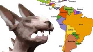 CHUPACABRAS  GOATSUCKER  CRIPTOZOOLOGIA  MISTERIOS Y ENIGMAS  PARANORMAL  CRIPTIDO  AMERICA [upl. by Yelraf]