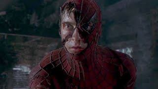 El Hombre Araña película completa en Español [upl. by Eisaj]