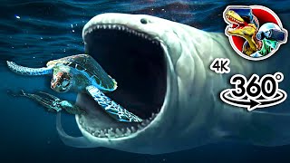 360° VR Bloop Eats Giant Turtle and Squid  360 video 4K [upl. by Englebert647]