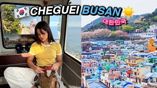 CHEGUEI EM BUSAN NA CORÉIA E TIVE UMA SURPRESA [upl. by Gervais373]