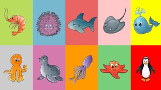 Learn Sea Animals  Ocean Animals for Kids  Animals Puzzle and Real Video of the Animals 2 Abuzz [upl. by Nolra]