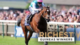 FIVE RICHEST GUINEAS WINNERS [upl. by Doelling]